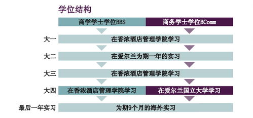 為何選擇愛(ài)爾蘭香儂酒店管理學(xué)院 開(kāi)啟卓越酒店管理職業(yè)生涯的明智之選